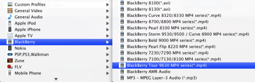 Mac DVD to BlackBerry Converter