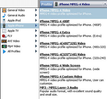 watch DVD and video on iPhone 3G